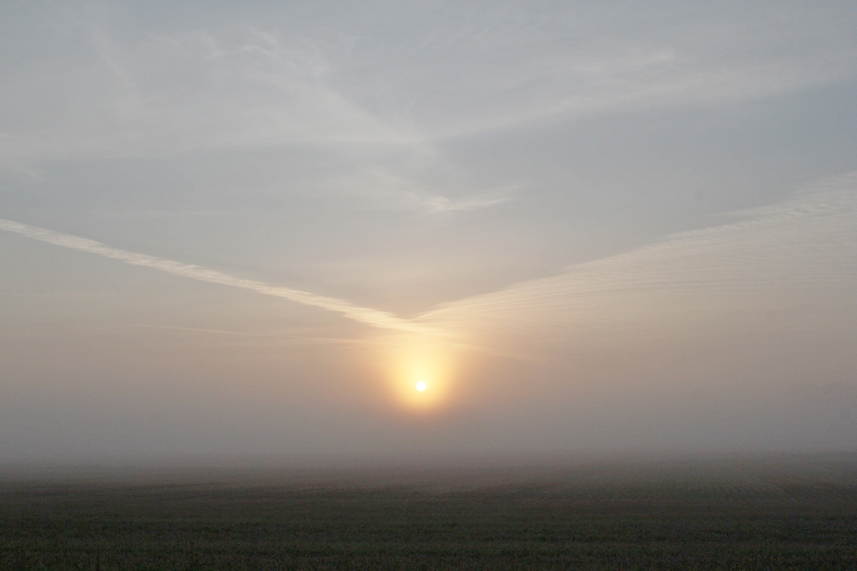 Photo of sunrise over Lille Musse, Denmark. By Freya Anduin